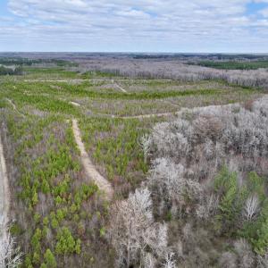 Photo #19 of 90000 Sheppard Mill Rd, Greenville, NC 254.0 acres