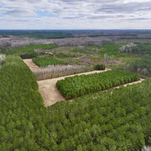 Photo #1 of 90000 Sheppard Mill Rd, Greenville, NC 254.0 acres
