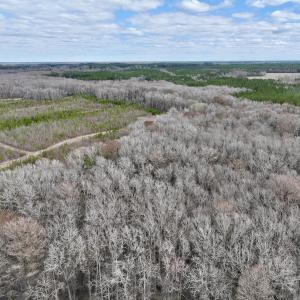 Photo #20 of 90000 Sheppard Mill Rd, Greenville, NC 254.0 acres