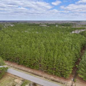 Photo #7 of 90000 Sheppard Mill Rd, Greenville, NC 254.0 acres