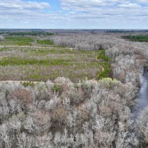 Photo #21 of 90000 Sheppard Mill Rd, Greenville, NC 254.0 acres