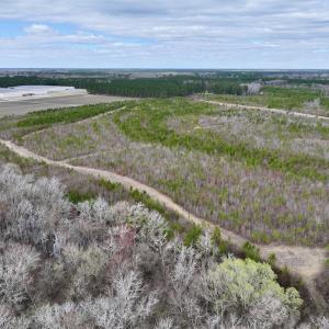 Photo #25 of 90000 Sheppard Mill Rd, Greenville, NC 254.0 acres