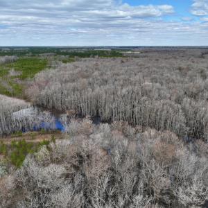Photo #27 of 90000 Sheppard Mill Rd, Greenville, NC 254.0 acres