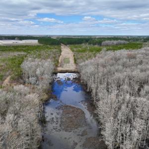 Photo #28 of 90000 Sheppard Mill Rd, Greenville, NC 254.0 acres