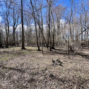 Photo #29 of 90000 Sheppard Mill Rd, Greenville, NC 254.0 acres