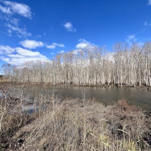 Photo #30 of 90000 Sheppard Mill Rd, Greenville, NC 254.0 acres