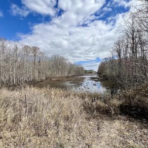Photo #31 of 90000 Sheppard Mill Rd, Greenville, NC 254.0 acres