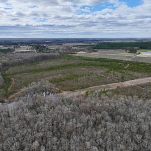 Photo #34 of 90000 Sheppard Mill Rd, Greenville, NC 254.0 acres