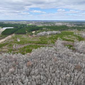 Photo #35 of 90000 Sheppard Mill Rd, Greenville, NC 254.0 acres