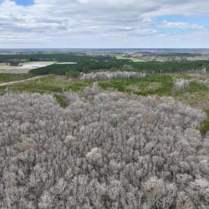 Photo #37 of 90000 Sheppard Mill Rd, Greenville, NC 254.0 acres