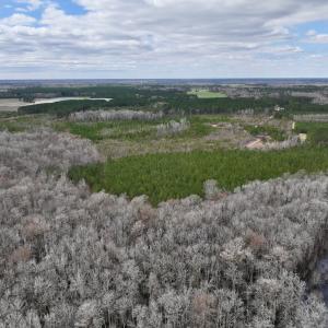 Photo #38 of 90000 Sheppard Mill Rd, Greenville, NC 254.0 acres