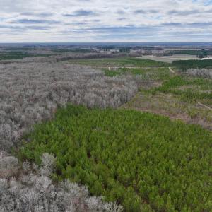 Photo #39 of 90000 Sheppard Mill Rd, Greenville, NC 254.0 acres