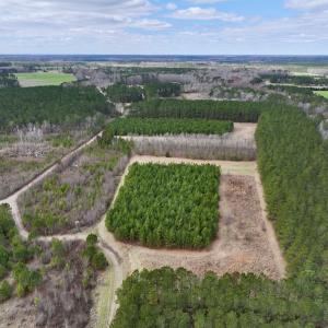 Photo #42 of 90000 Sheppard Mill Rd, Greenville, NC 254.0 acres