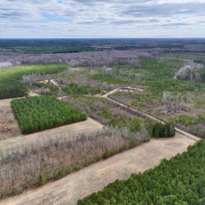 Photo #45 of 90000 Sheppard Mill Rd, Greenville, NC 254.0 acres