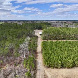 Photo #46 of 90000 Sheppard Mill Rd, Greenville, NC 254.0 acres