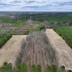 Photo #48 of 90000 Sheppard Mill Rd, Greenville, NC 254.0 acres