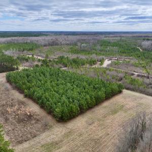 Photo #49 of 90000 Sheppard Mill Rd, Greenville, NC 254.0 acres