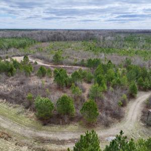 Photo #50 of 90000 Sheppard Mill Rd, Greenville, NC 254.0 acres
