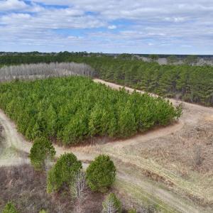 Photo #51 of 90000 Sheppard Mill Rd, Greenville, NC 254.0 acres
