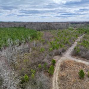 Photo #52 of 90000 Sheppard Mill Rd, Greenville, NC 254.0 acres