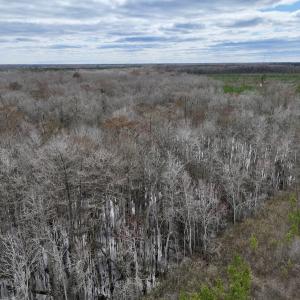 Photo #55 of 90000 Sheppard Mill Rd, Greenville, NC 254.0 acres