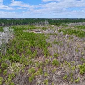 Photo #58 of 90000 Sheppard Mill Rd, Greenville, NC 254.0 acres
