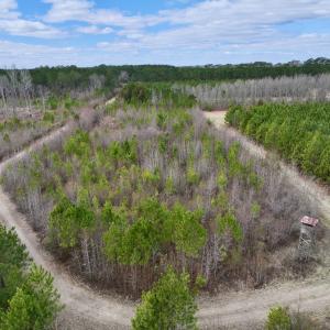 Photo #59 of 90000 Sheppard Mill Rd, Greenville, NC 254.0 acres