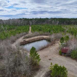 Photo #60 of 90000 Sheppard Mill Rd, Greenville, NC 254.0 acres