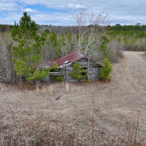 Photo #61 of 90000 Sheppard Mill Rd, Greenville, NC 254.0 acres