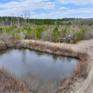 Photo #63 of 90000 Sheppard Mill Rd, Greenville, NC 254.0 acres