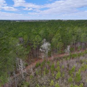Photo #64 of 90000 Sheppard Mill Rd, Greenville, NC 254.0 acres