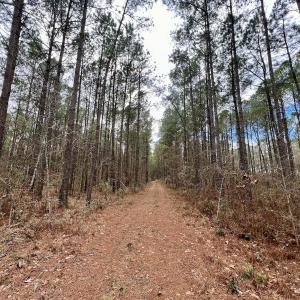 Photo #66 of 90000 Sheppard Mill Rd, Greenville, NC 254.0 acres