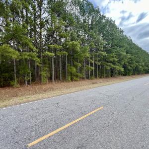 Photo #70 of 90000 Sheppard Mill Rd, Greenville, NC 254.0 acres