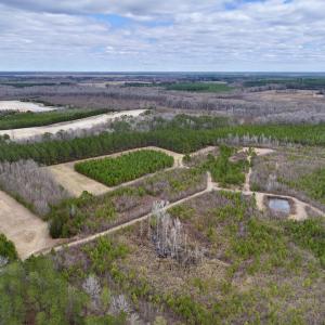 Photo #73 of 90000 Sheppard Mill Rd, Greenville, NC 254.0 acres