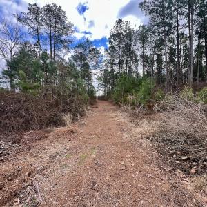 Photo #75 of 90000 Sheppard Mill Rd, Greenville, NC 254.0 acres