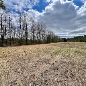Photo #77 of 90000 Sheppard Mill Rd, Greenville, NC 254.0 acres
