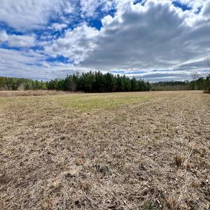Photo #79 of 90000 Sheppard Mill Rd, Greenville, NC 254.0 acres