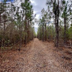 Photo #81 of 90000 Sheppard Mill Rd, Greenville, NC 254.0 acres