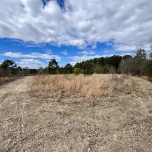 Photo #83 of 90000 Sheppard Mill Rd, Greenville, NC 254.0 acres