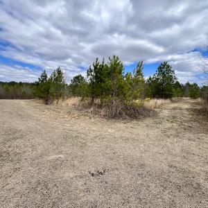Photo #84 of 90000 Sheppard Mill Rd, Greenville, NC 254.0 acres