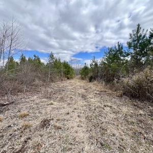 Photo #85 of 90000 Sheppard Mill Rd, Greenville, NC 254.0 acres