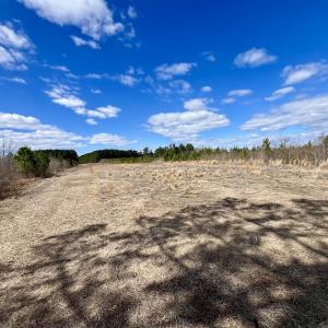 Photo #87 of 90000 Sheppard Mill Rd, Greenville, NC 254.0 acres