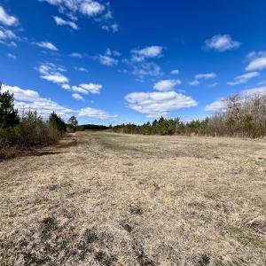 Photo #88 of 90000 Sheppard Mill Rd, Greenville, NC 254.0 acres
