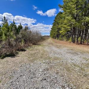 Photo #89 of 90000 Sheppard Mill Rd, Greenville, NC 254.0 acres