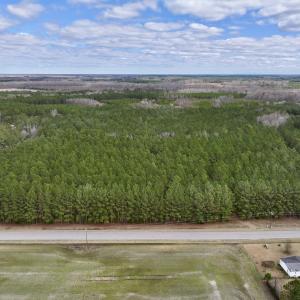 Photo #6 of 90000 Sheppard Mill Rd, Greenville, NC 254.0 acres