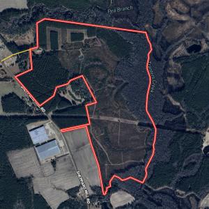 Photo #92 of 90000 Sheppard Mill Rd, Greenville, NC 254.0 acres