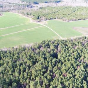 Photo #1 of 973 Mosely Road, Walstonburg, NC 204.2 acres