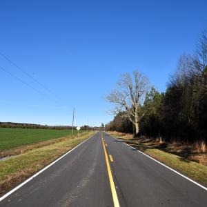 Photo #2 of 973 Mosely Road, Walstonburg, NC 204.2 acres