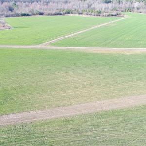 Photo #3 of 973 Mosely Road, Walstonburg, NC 204.2 acres