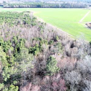 Photo #5 of 973 Mosely Road, Walstonburg, NC 204.2 acres